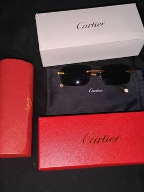 Cartier Mens Sunglasses with Black Lenses + Gold Accents